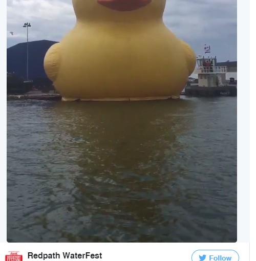 大黃鴨正式登陸多倫多啦