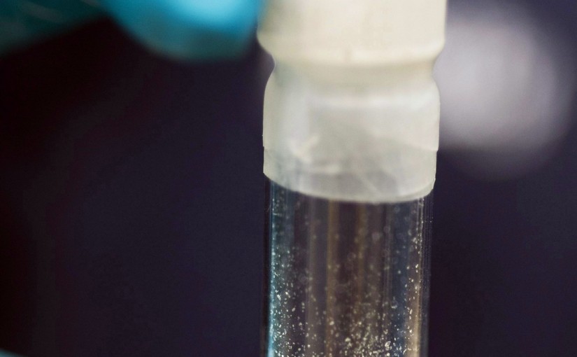 杜咸區週末7例可卡因過量 疑和芬太尼有關