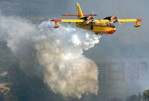 加拿大飛機拯救葡萄牙山火時墜毀