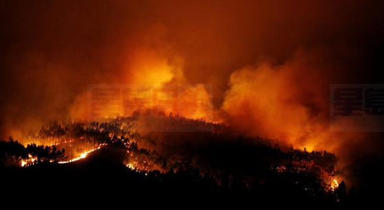 葡萄牙森林大火已至少61人遇難 多人喪生車中