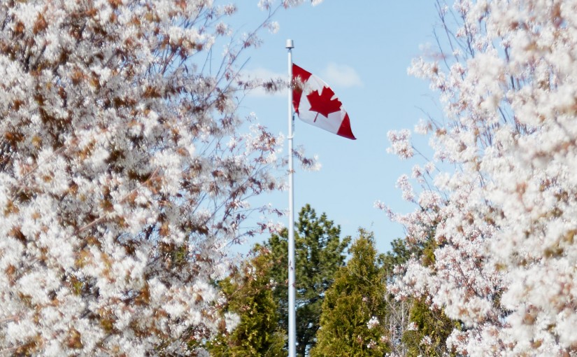 免費的博物館入場 讓你安靜度過七月一號