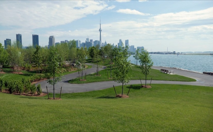 大整修！安省湖濱停車場現變青蔥綠地