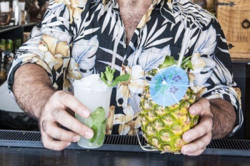 Taste of Toronto 明星廚師的手藝