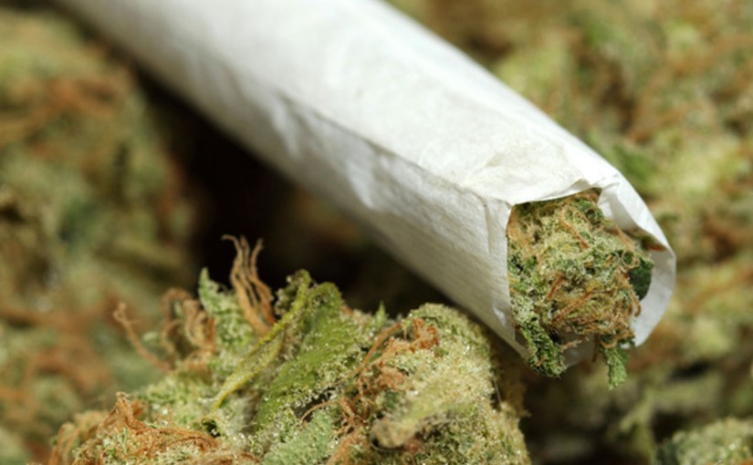 專家指研究顯示大麻與精神疾病存在關聯，使用大麻或令得病風險增加