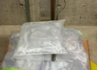 卑詩省一名男子涉嫌運毒進入美國被捕