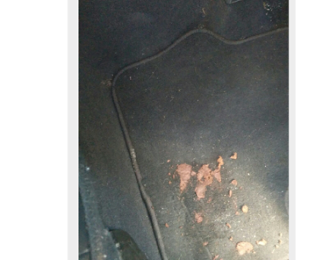 沒養狗卻被收150元狗糞清理費？中國留學生乘Uber好冤屈！