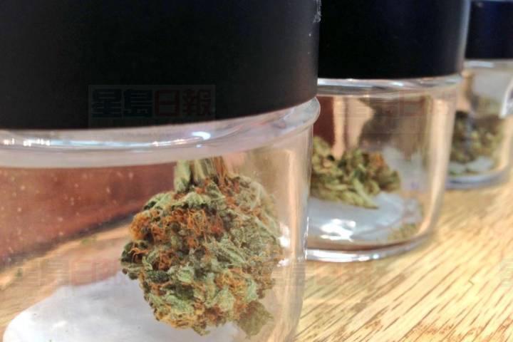 溫哥華市政府只收到14%大麻店罰款