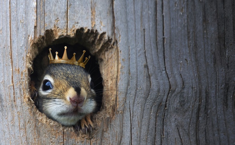 海柏公園戲劇之夜