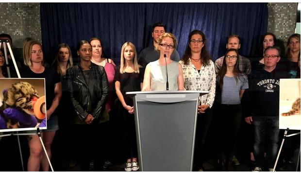 罷工一個月動物情況危急！動物園工會擬提出新協議