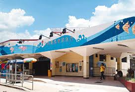 這麼熱我只想靜靜待在游池裡! 公眾游池開放了