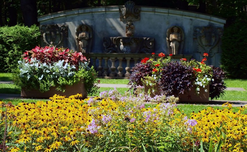 老去那幾個公園? 周末去新公園走走吧