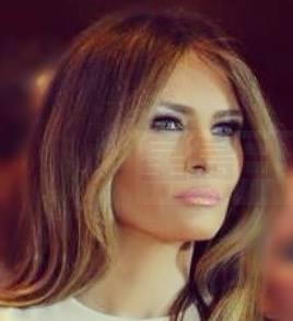 美第一夫人將單獨外訪 出席加國傷殘退伍軍人運動會