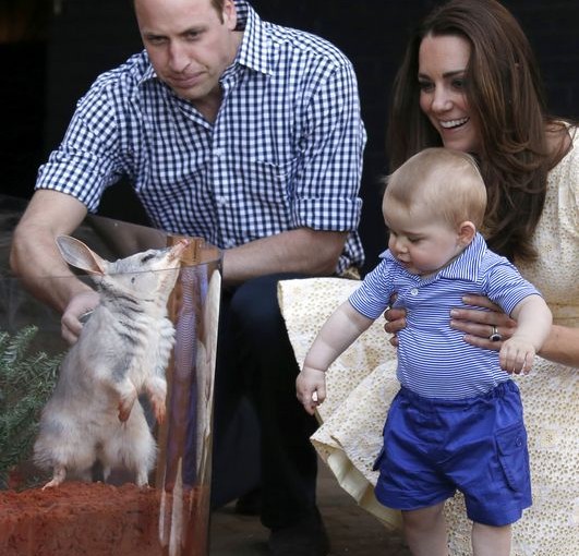 小王子4歲喇! 年紀小小全世界“履行”皇室工作