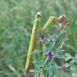 森林探險、沙灘音樂派對…約克區這週好去處
