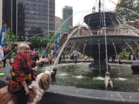 多倫多副市長McConnell在醫院病危