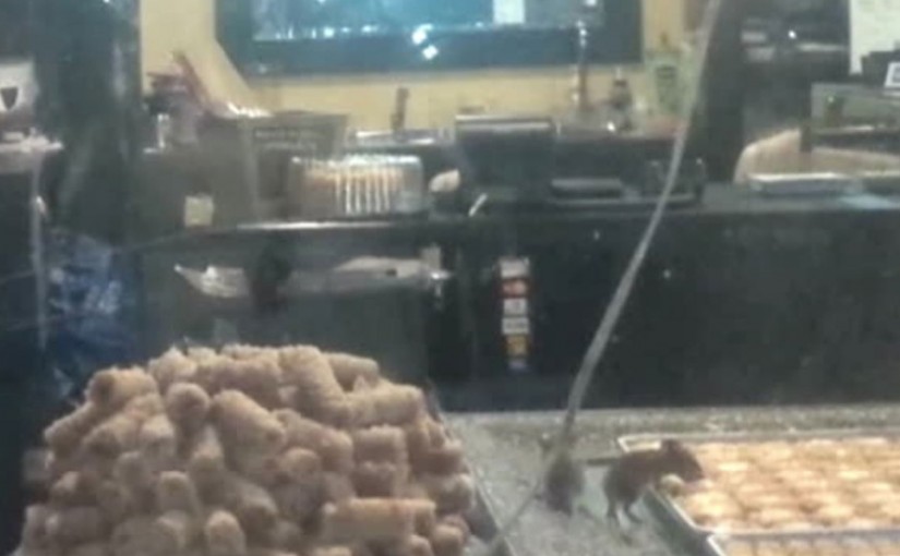 多倫多“老鼠樂園”甜品店已被關閉