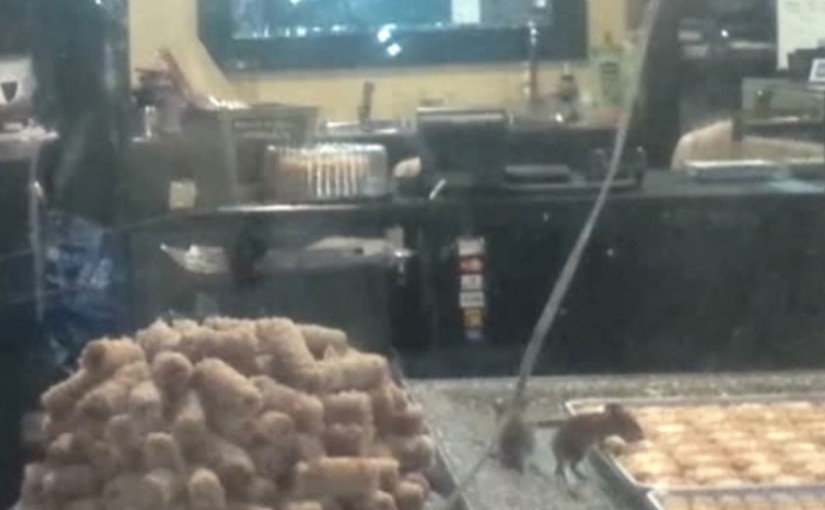 被拍到老鼠橫行的多倫多餅店重新開放