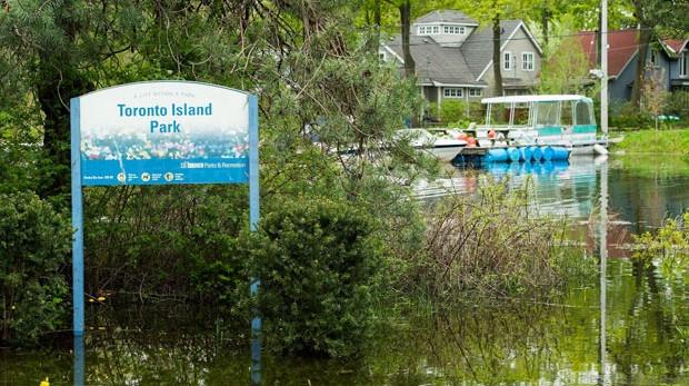 多倫多湖心島將開 但島上蚊子被查出西尼羅病毒