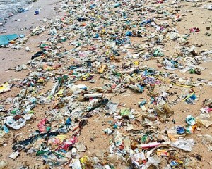 全球塑膠瓶用量大 每分鐘可賣出驚人數字