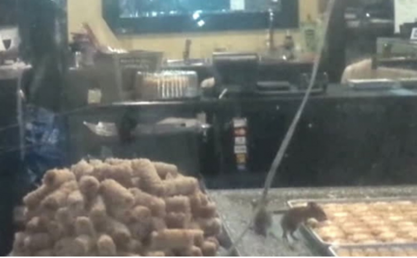 蜜餅店臨街櫥窗里 老鼠大搖大擺吃點心