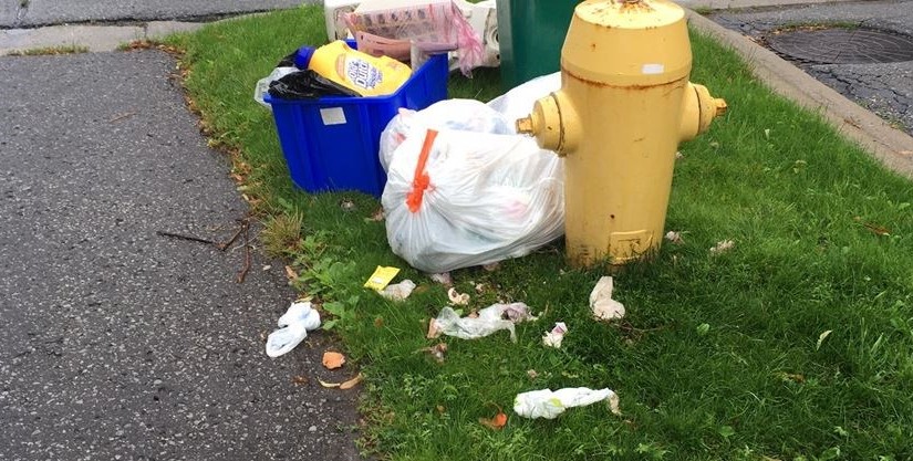 萬錦派對室變短租房 垃圾滿地遭投訴