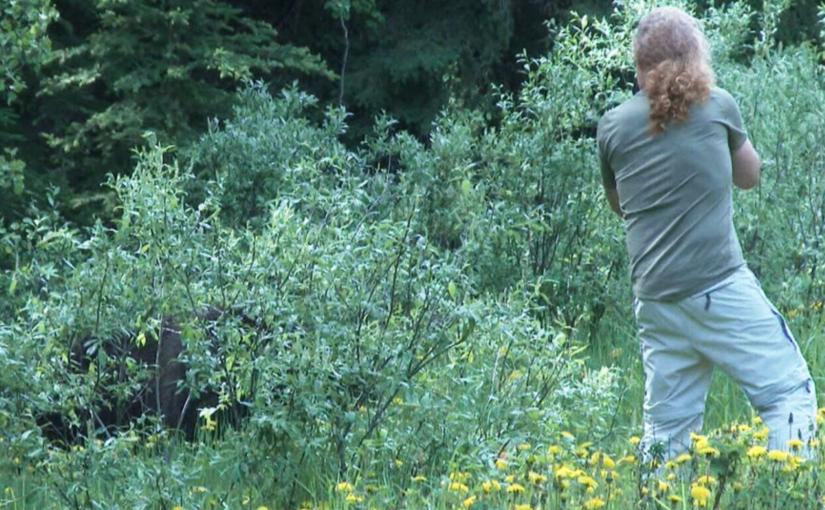 驚險！遊客離野生黑熊只有不到一米的距離