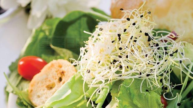 員工竟用水盆洗手？！萬錦兩餐廳被查不衛生