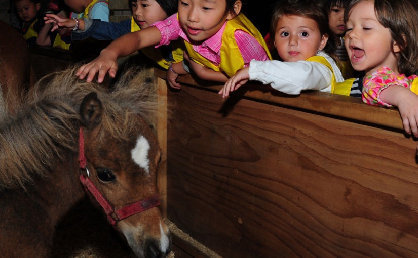 免費騎馬體驗的活動 別說我沒告訴你啊