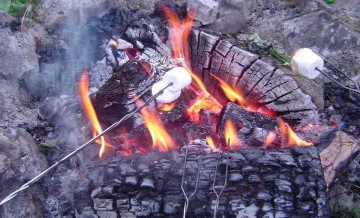 卑詩全面實施營火禁令 違例者最高罰款10萬元