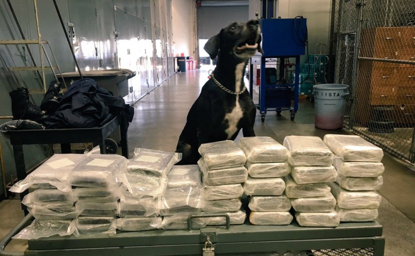 美國加州警檢獲40公斤可卡因 溫漢遭拘控