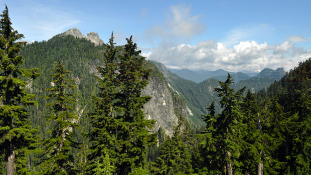 大溫哥華的地區公園火警威脅極高
