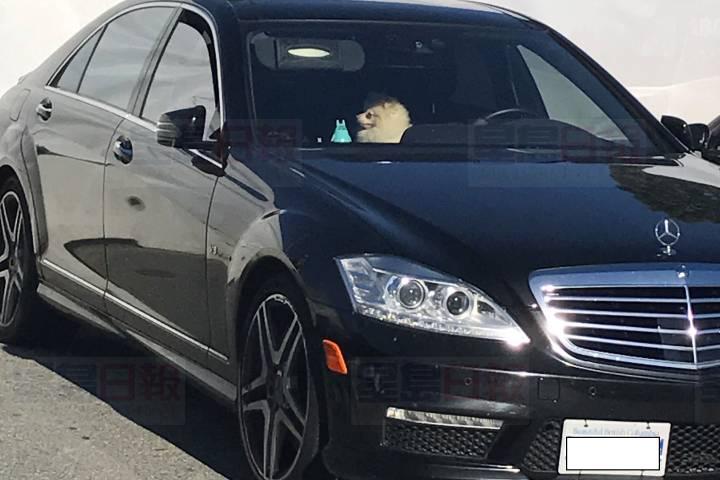 卑詩省Lougheed商場有狗主將狗隻留在汽車內 愛護動物協會可能提出起訴