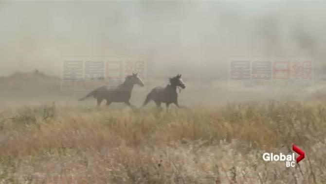 卑詩省內陸多處地方的山火 火場面積不斷擴大 緊急狀態令維持