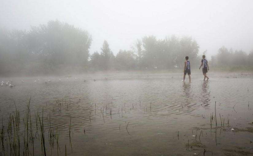 大多地區今年蚊子數量增加了1600%