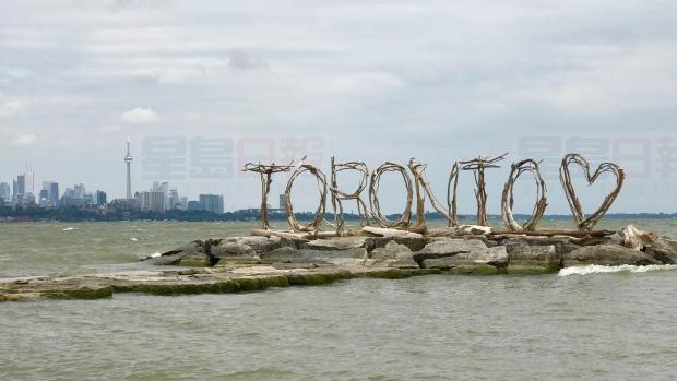 多倫多藝術家用浮木雕塑表達熱愛