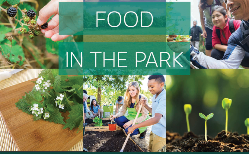 多倫多舉辦去公園種菜主題活動