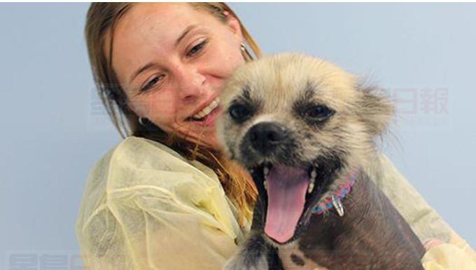 多倫多地鐵虐狗女子被控刑事犯罪