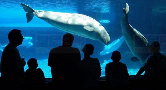 多倫多水族館斷電10小時 6千遊客被拒之門外