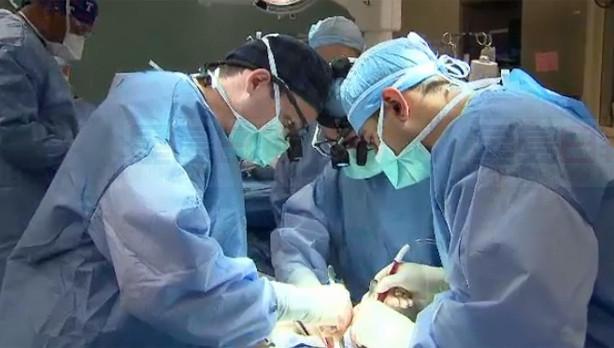 美研究者：豬器官移植人體不是夢