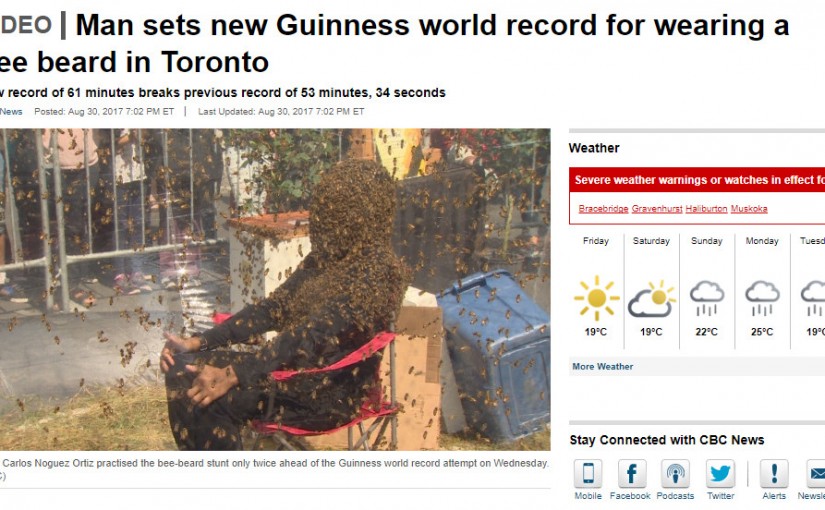 頭戴十萬只蜜蜂！多倫多男子打破吉尼斯紀錄