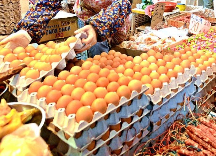 荷蘭毒蛋事件越演越烈 歐洲多國急下架