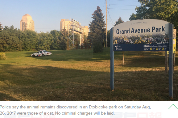 怡陶碧谷公園發現剝皮動物殘骸 是貓