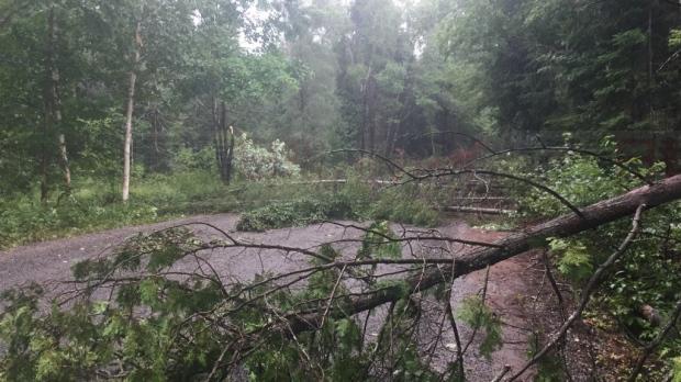 安省上週第二個龍捲風著陸 造成當地大停電