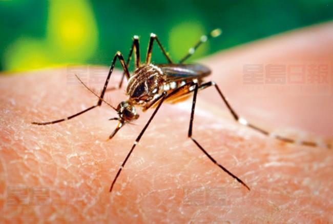 專家：西尼羅河病毒緊逼安省