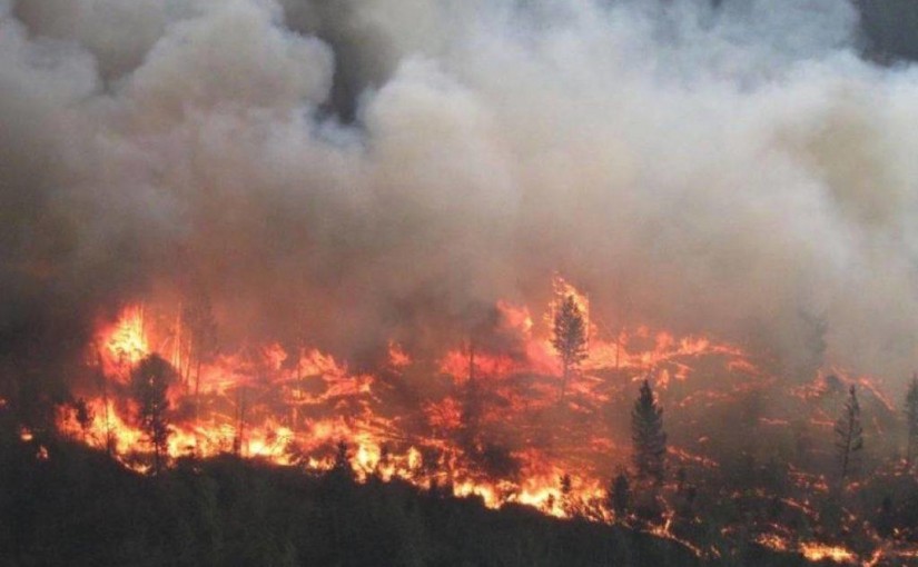 卑詩省山火情況未有大幅改善