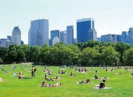 Central  Park大樹倒下 導致四人受傷