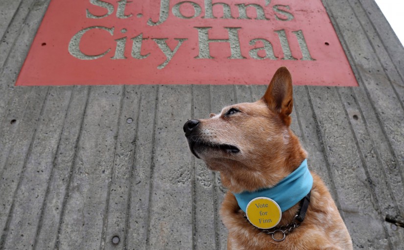 加拿大法律明確規定：禁止犬科/貓科等動物統治國家