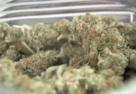 安省大麻店明年開張 工會表示會培訓好員工