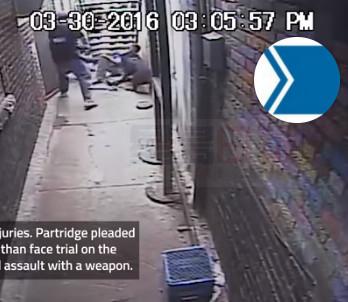 放狗咬已順從的嫌犯 約克區警察被控罪