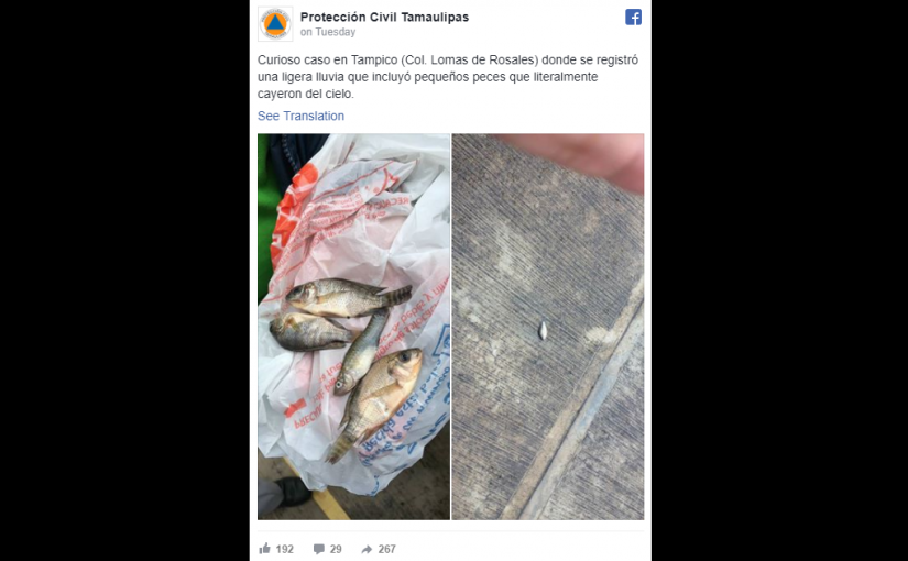 墨西哥天上下魚 專家道出奧秘